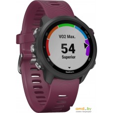 Умные часы Garmin Forerunner 245 (вишневый)