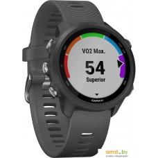 Умные часы Garmin Forerunner 245 (серый)