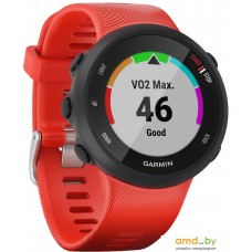 Умные часы Garmin Forerunner 45 (красный)