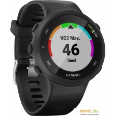 Умные часы Garmin Forerunner 45 (черный)