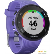 Умные часы Garmin Forerunner 45s (фиолетовый)