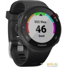 Умные часы Garmin Forerunner 45s (черный)