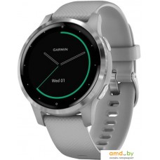 Умные часы Garmin Vivoactive 4s (серый/серебристый)