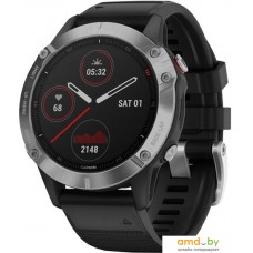 Умные часы Garmin Fenix 6 (серебристый/черный)