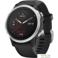 Умные часы Garmin Fenix 6s (серебристый/черный)