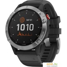 Умные часы Garmin Fenix 6 Solar 47 мм (серебристый/черный)