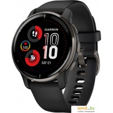 Умные часы Garmin Venu 2 Plus (черный)