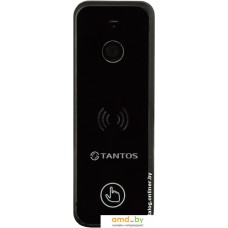 Вызывная панель Tantos iPanel 2+ (черный)