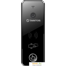 Вызывная панель Tantos iPanel 2 WG