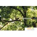 Сучкорез Fiskars PowerGear X UPX82 1023625. Фото №13