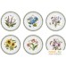 Набор обеденных  тарелок Portmeirion Botanic Garden/Original/Tableware BG05052. Фото №1