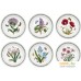 Набор обеденных  тарелок Portmeirion Botanic Garden/Original/Tableware BG05072. Фото №1