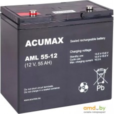 Аккумулятор для ИБП Acumax AML55-12