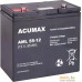 Аккумулятор для ИБП Acumax AML55-12. Фото №1