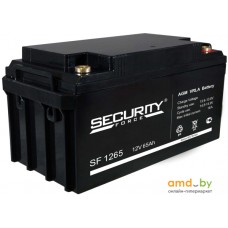 Аккумулятор для ИБП Security Force SF 1265 (12В/65 А·ч)