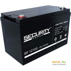 Аккумулятор для ИБП Security Force SF 12100 (12В/100 А·ч)