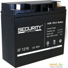 Аккумулятор для ИБП Security Force SF 1218 (12В/18 А·ч)