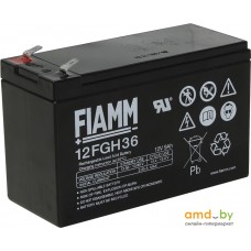 Аккумулятор для ИБП FIAMM 12FGH36 (12В/9 А·ч)