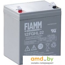 Аккумулятор для ИБП FIAMM 12FGHL22 (12В/5 А·ч)