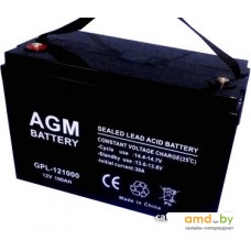 Аккумулятор для ИБП AGM Battery GPL 121000 (12В/100 А·ч)