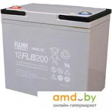 Аккумулятор для ИБП FIAMM 12FLB200P (12В/55 А·ч)