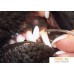 Скалер Show Tech Toothscaler Safety Teeth Cleaning 55STE014. Фото №4