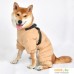 Комбинезон для животных Puppia Soft Onesie PAUD-JP1677-BE-XL (бежевый). Фото №3