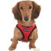 Шлейка Puppia Soft Vest PAHA-AH305-RD-L (красный). Фото №3