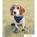 Кеды для животных Puppia Hiker PAMD-SH065-RB-M (M, 2 пары, синий). Фото №2