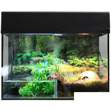 

Террариум Lucky Reptile Стартовый комплект для амфибий SK50BP-B (черный), Стартовый комплект для амфибий SK50BP-B (черный)