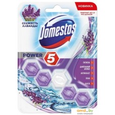 Средство для унитаза Domestos Power 5 Свежесть лаванды 55 г