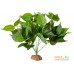 Искусственное растение Lucky Reptile Golden Pothos IF-33. Фото №1