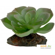 Искусственное растение Lucky Reptile Echeveria IF-83 (зеленый/красный)