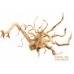 Декорация Natural Color Spider Root XF40302A(50). Фото №1