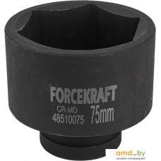 Головка слесарная ForceKraft FK-48510075