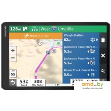 GPS навигатор Garmin Dezl LGV 1000 MT-D