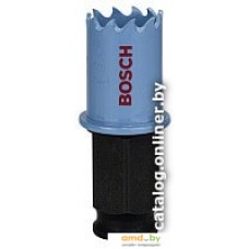 Bosch 2.608.584.782