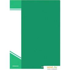 Папка для бумаг inФормат NP0165-60G с файлами (зеленый)