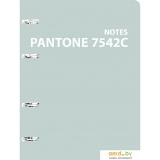 Общая тетрадь Канц-Эксмо Pantone line. Color ’21. No. 1 ПБЛ1205003 (120 л)