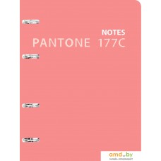 Общая тетрадь Канц-Эксмо Pantone line. No. 6 ПБЛ1205008 (120 л)