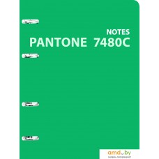 Общая тетрадь Канц-Эксмо Pantone line. No. 8 ПБЛ1205010 (120 л)