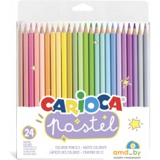 Набор цветных карандашей Carioca Pastel 43310 (24 цв)