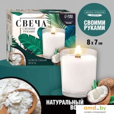 Набор для изготовления свечей Школа талантов Coconut 9210190