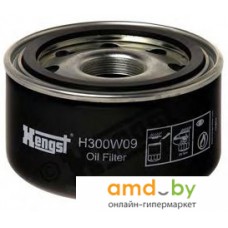 Масляный фильтр Hengst H300W09