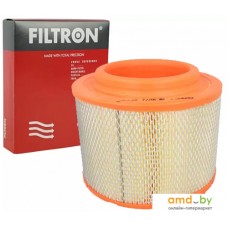 Воздушный фильтр Filtron AR307/2