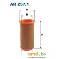 Воздушный фильтр Filtron AR2571