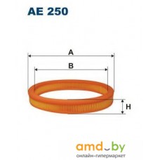 Воздушный фильтр Filtron AE250