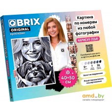 QBRIX Original 40033