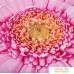 Надувной матрас Intex Pink Daisy Flower Mat 58787. Фото №3