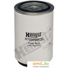 Hengst H7090WK30